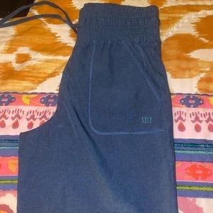 Albion Fit Destination Joggers- Blue